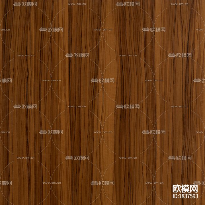 橄榄木(直)下载