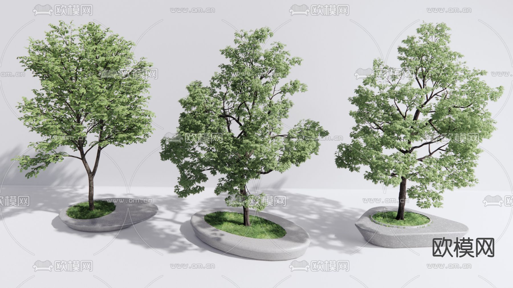 现代景观树su模型下载（渲染图1）