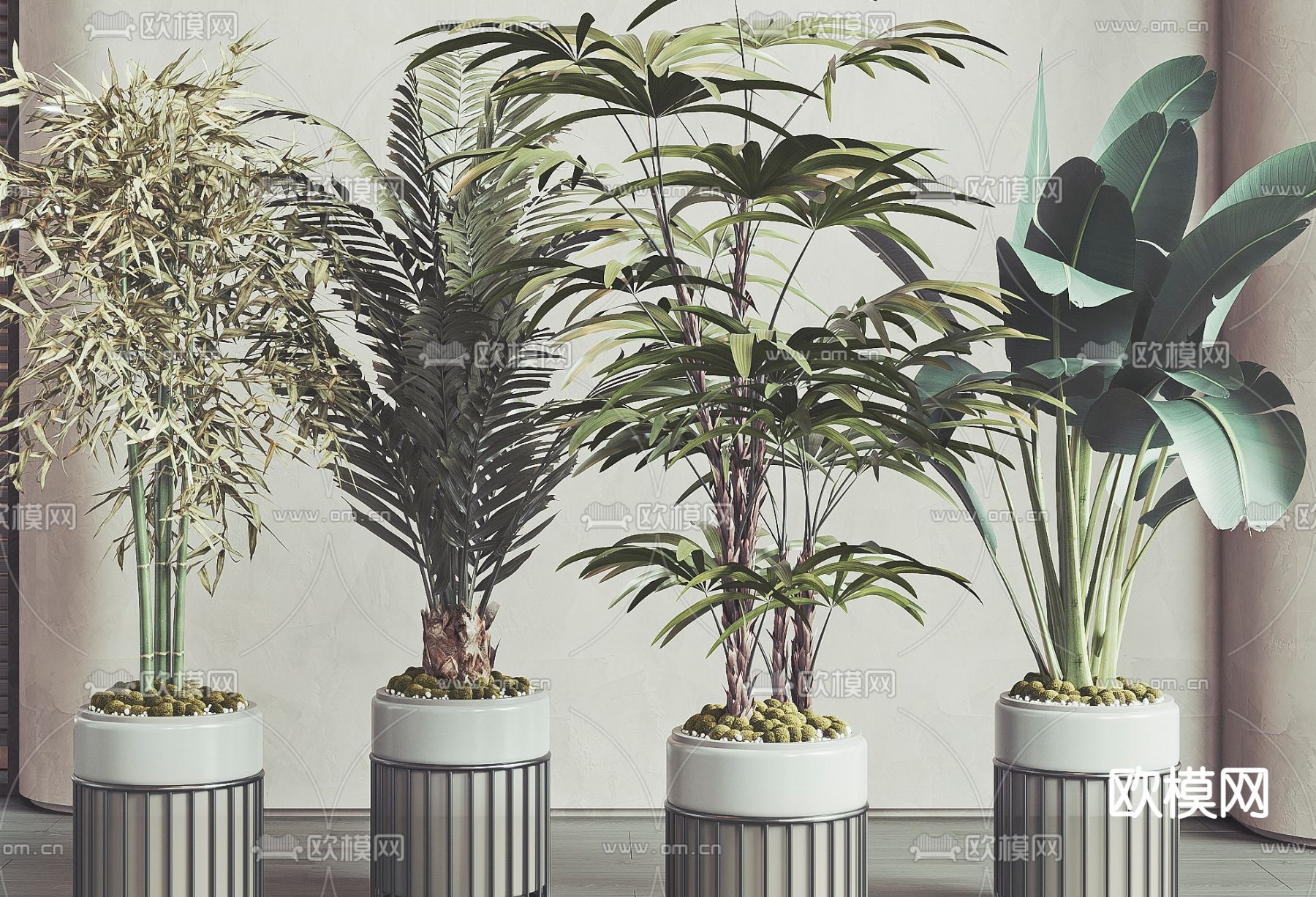 现代绿植盆栽3d模型