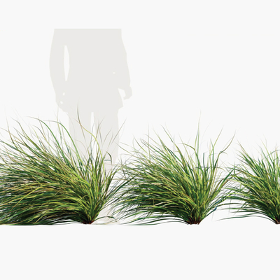  现代绿草su模型 