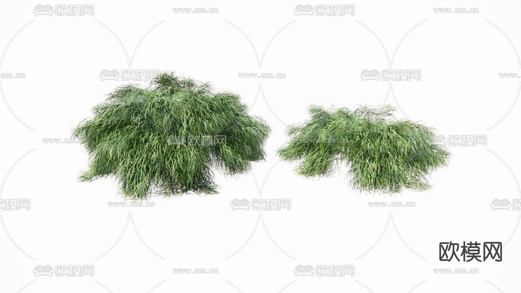 现代灌木su模型