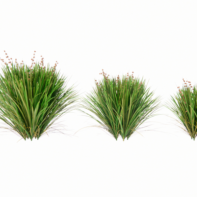  现代花草su模型 