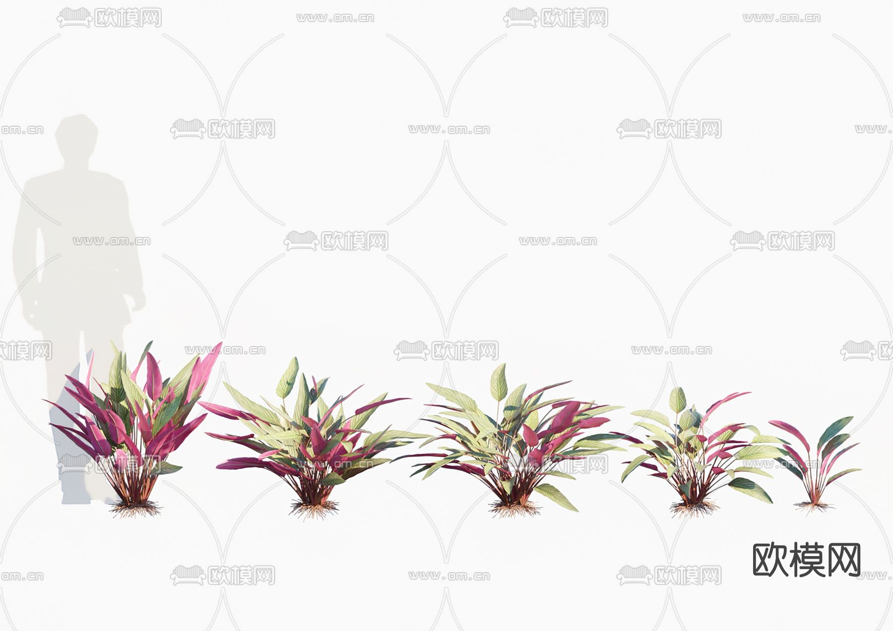 现代花草su模型