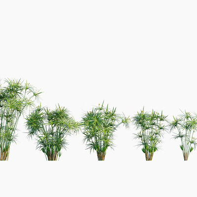  现代花草su模型 