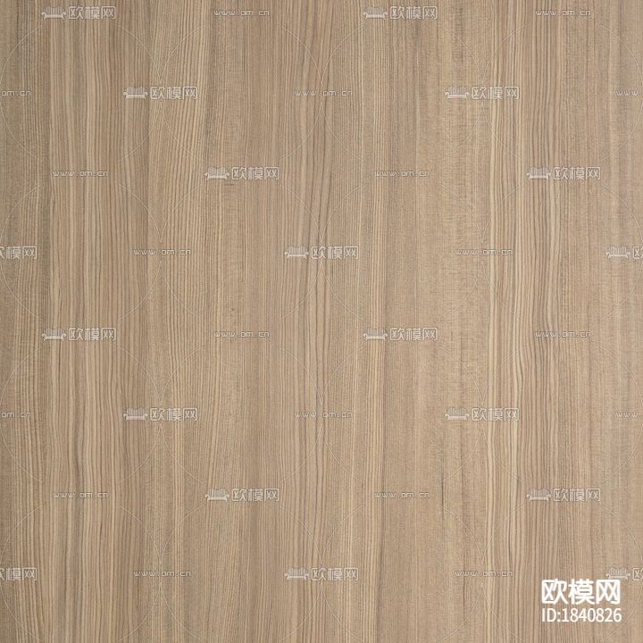 摩卡冷杉(直)下载