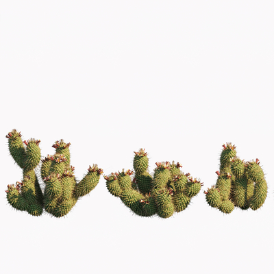  现代仙人掌su模型 