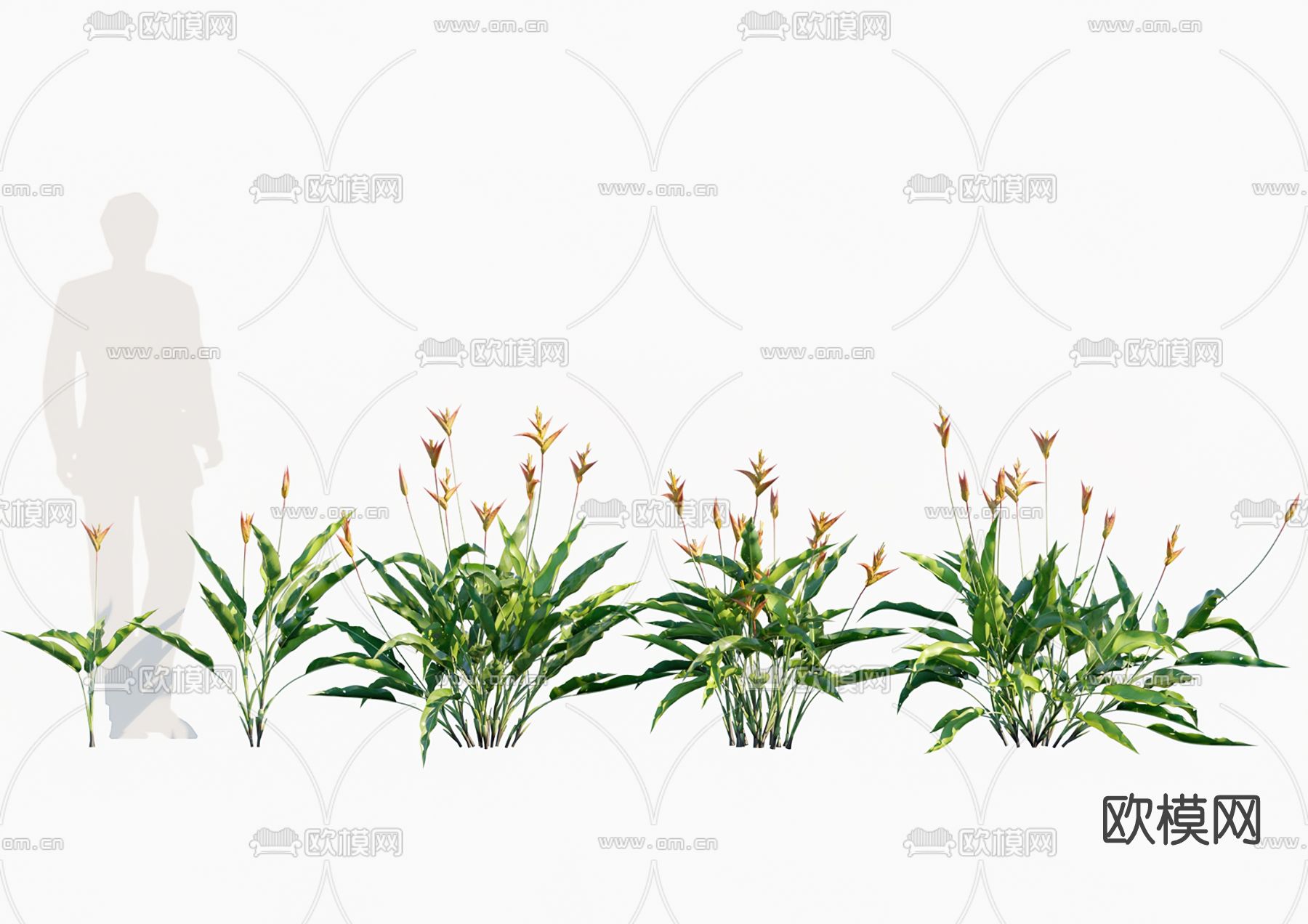 现代花草su模型下载