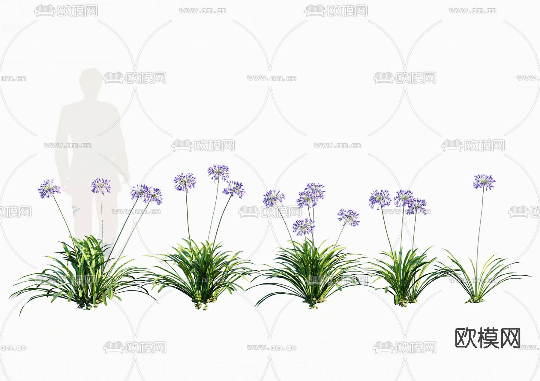 现代花草su模型下载