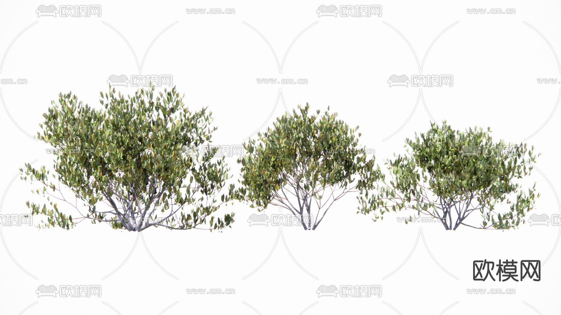 现代灌木su模型下载