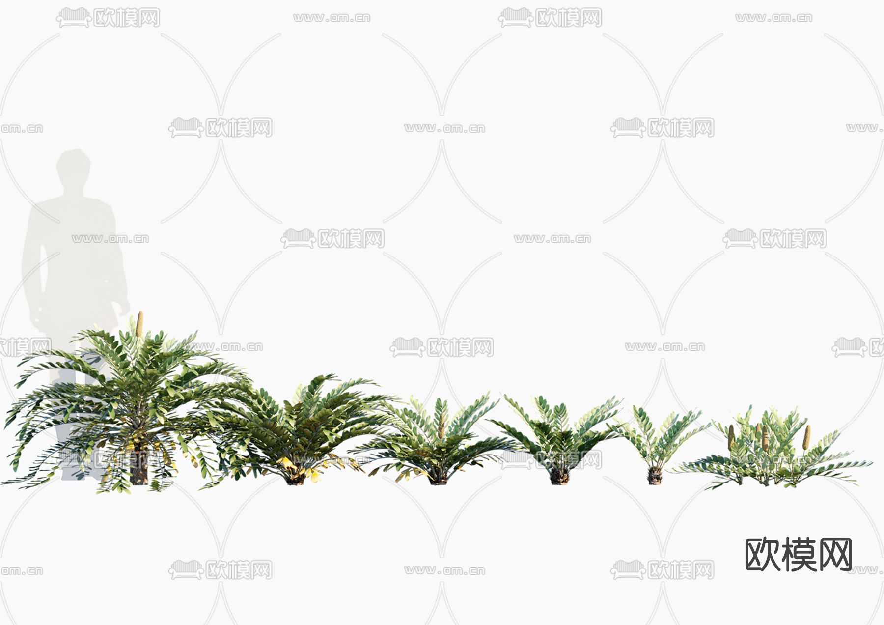 现代灌木su模型下载