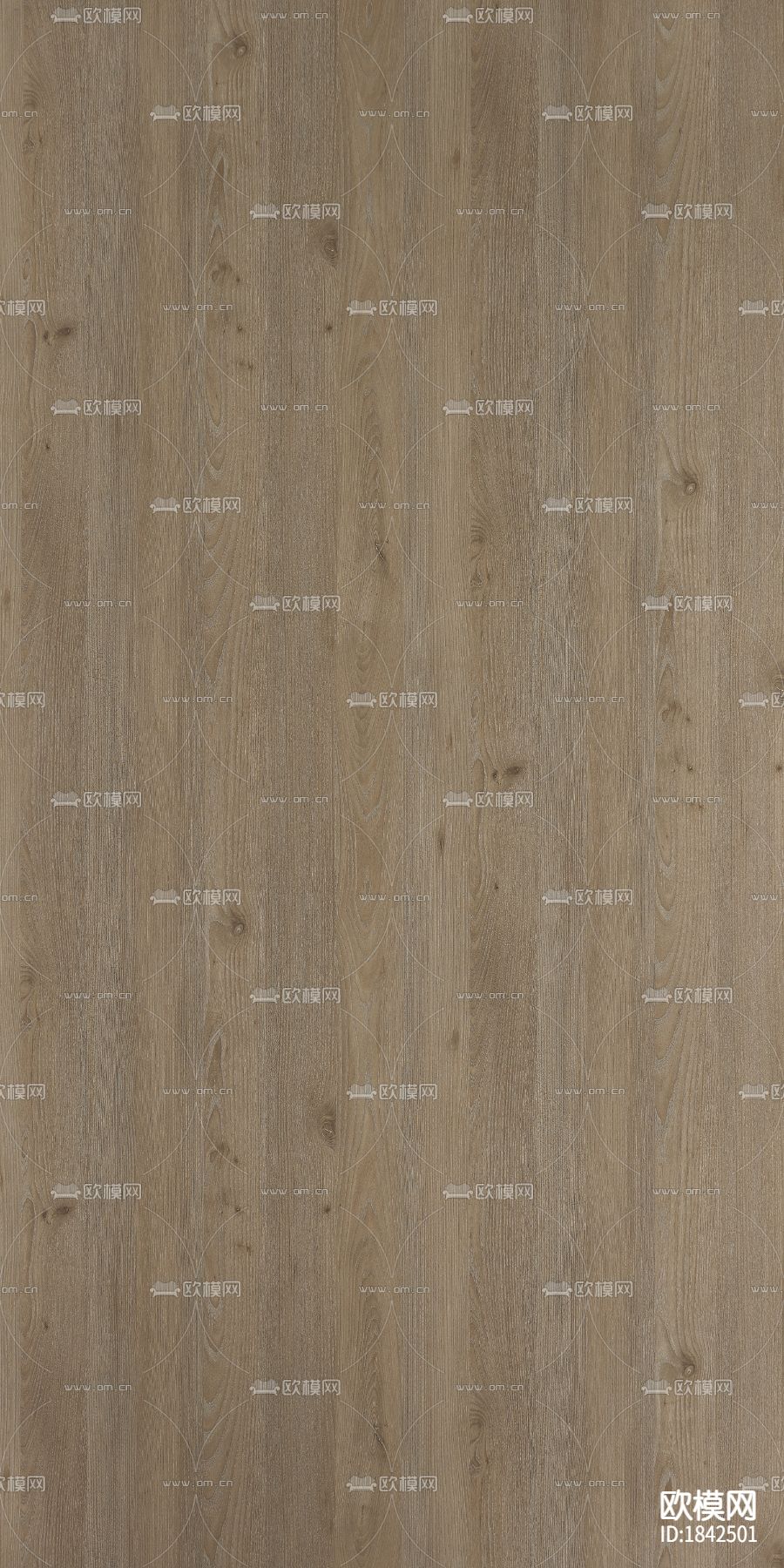 沙点梣木(山)下载