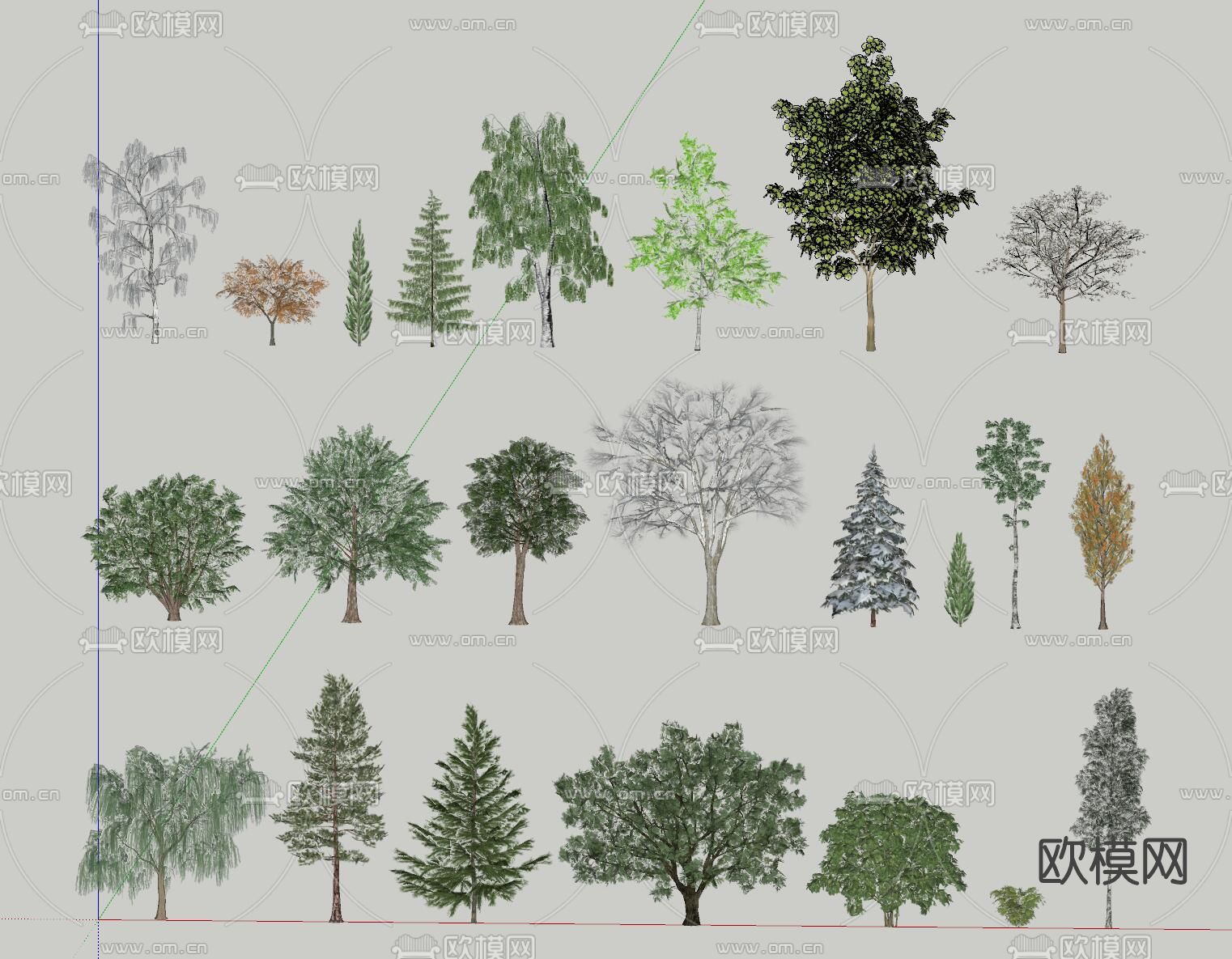 现代景观树su模型下载（渲染图2）