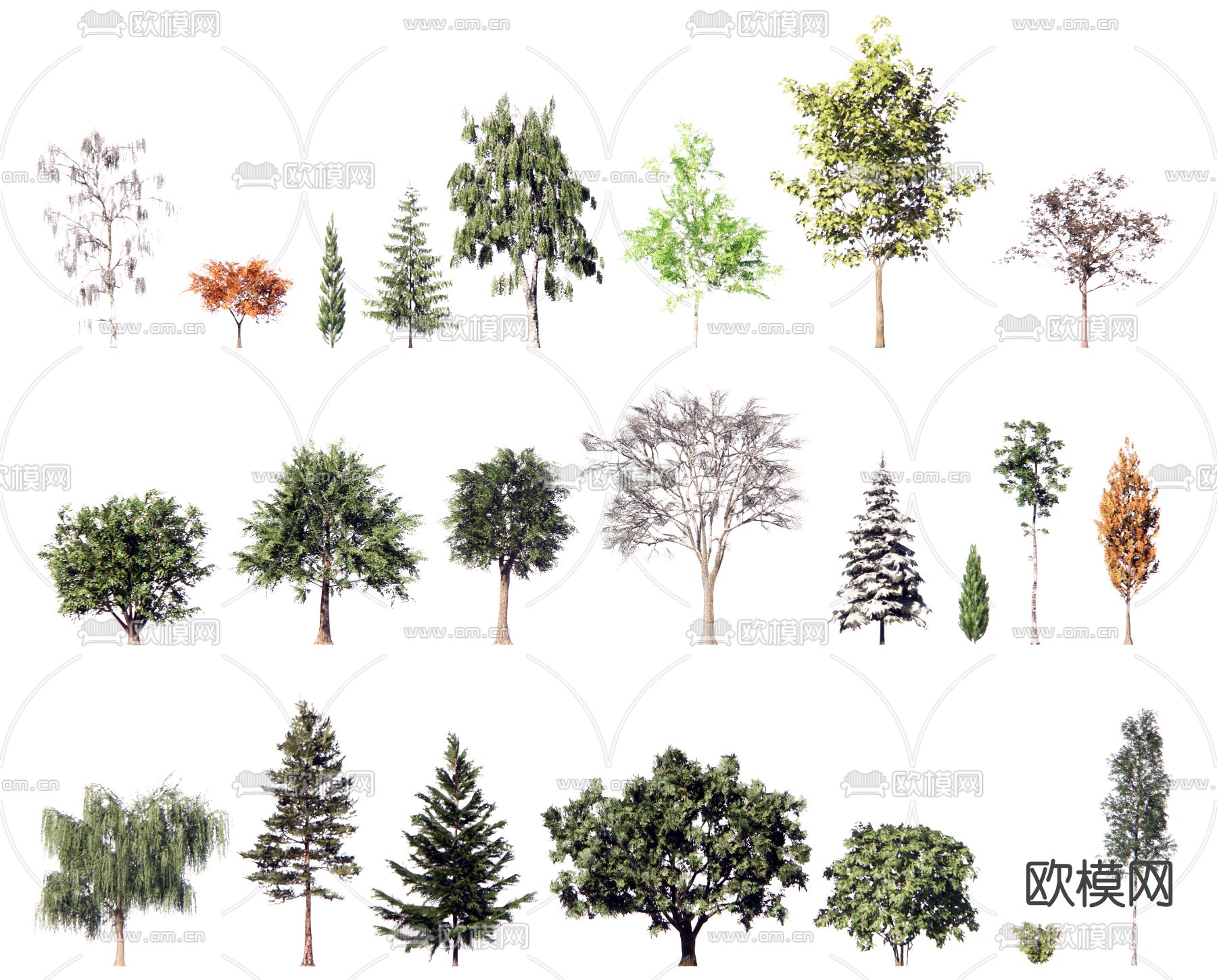 现代景观树su模型下载（渲染图1）