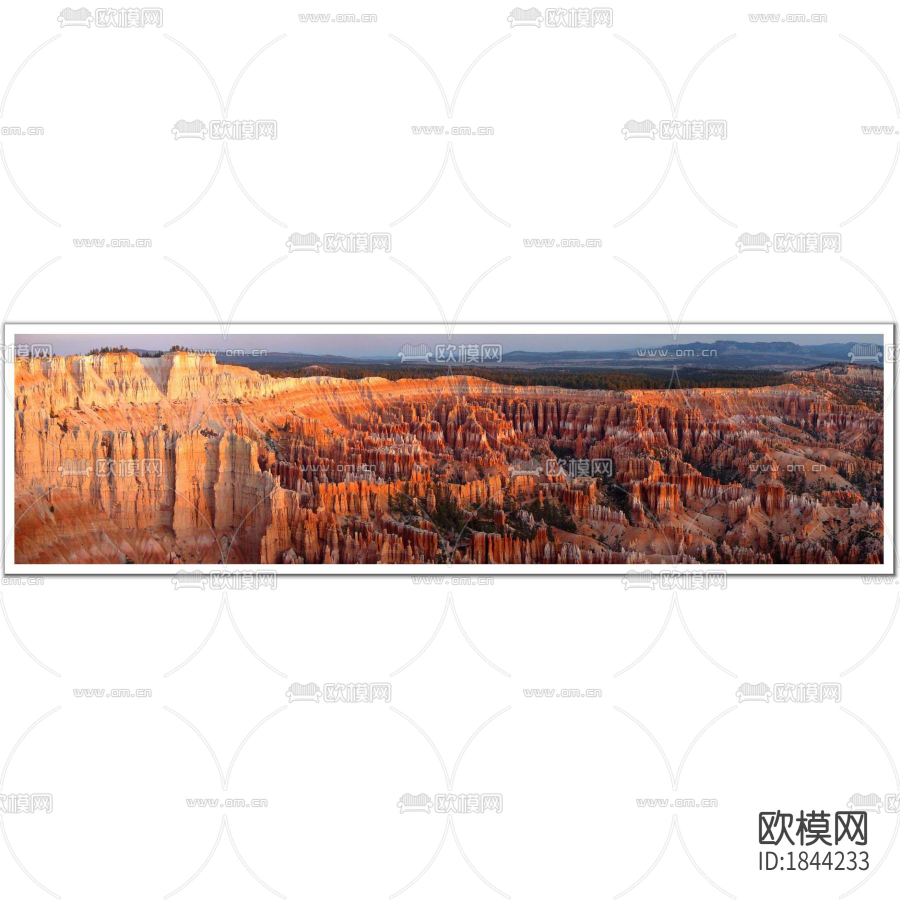 摄影装饰画下载