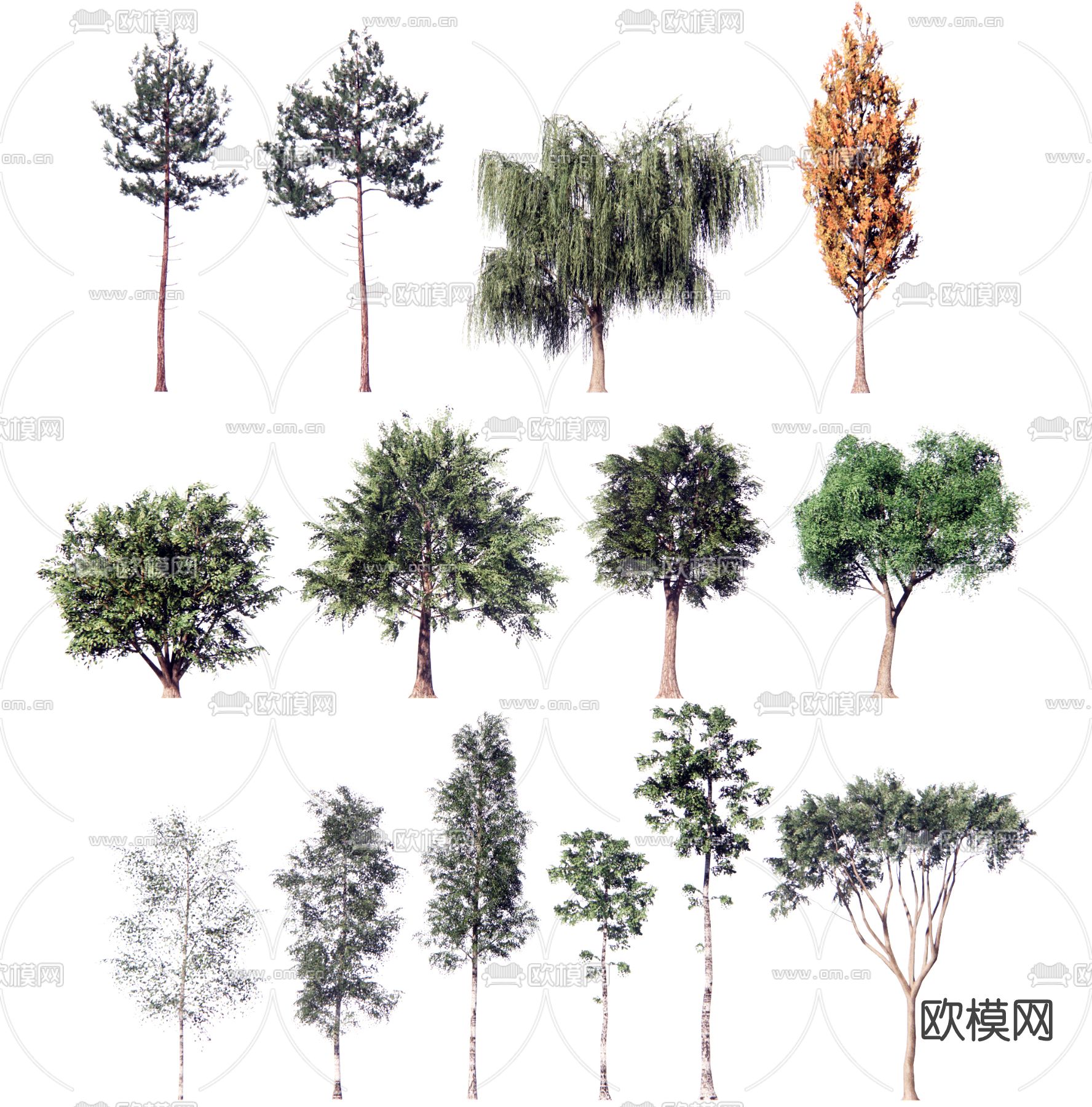 现代景观树su模型下载（渲染图1）