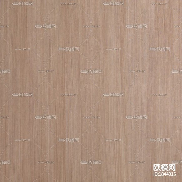 浅麻红豆杉(直)下载