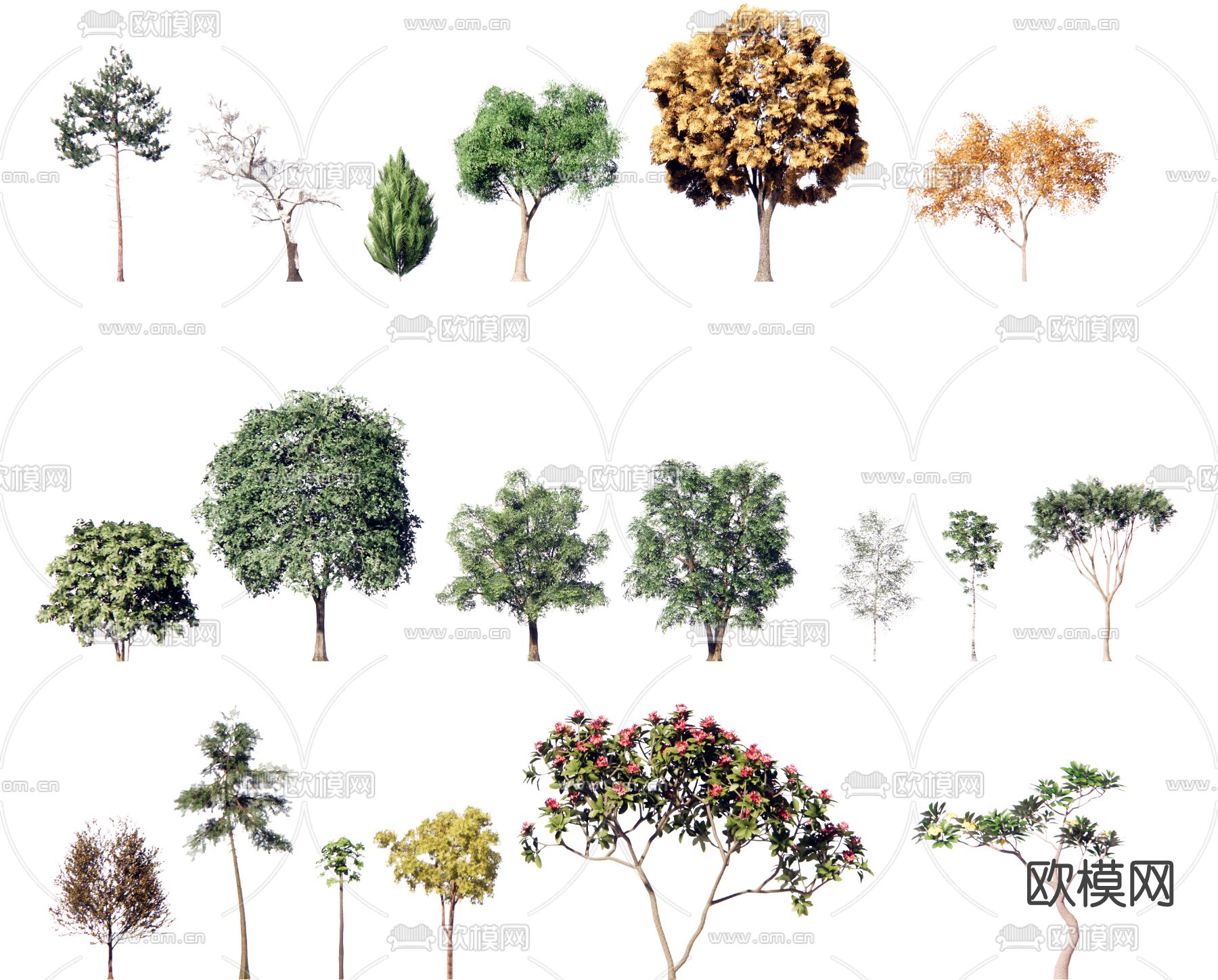 现代景观树su模型下载（渲染图1）