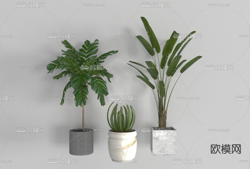 现代绿植盆栽免费3d模型下载_ID11696775_3dmax免费模型-欧模网