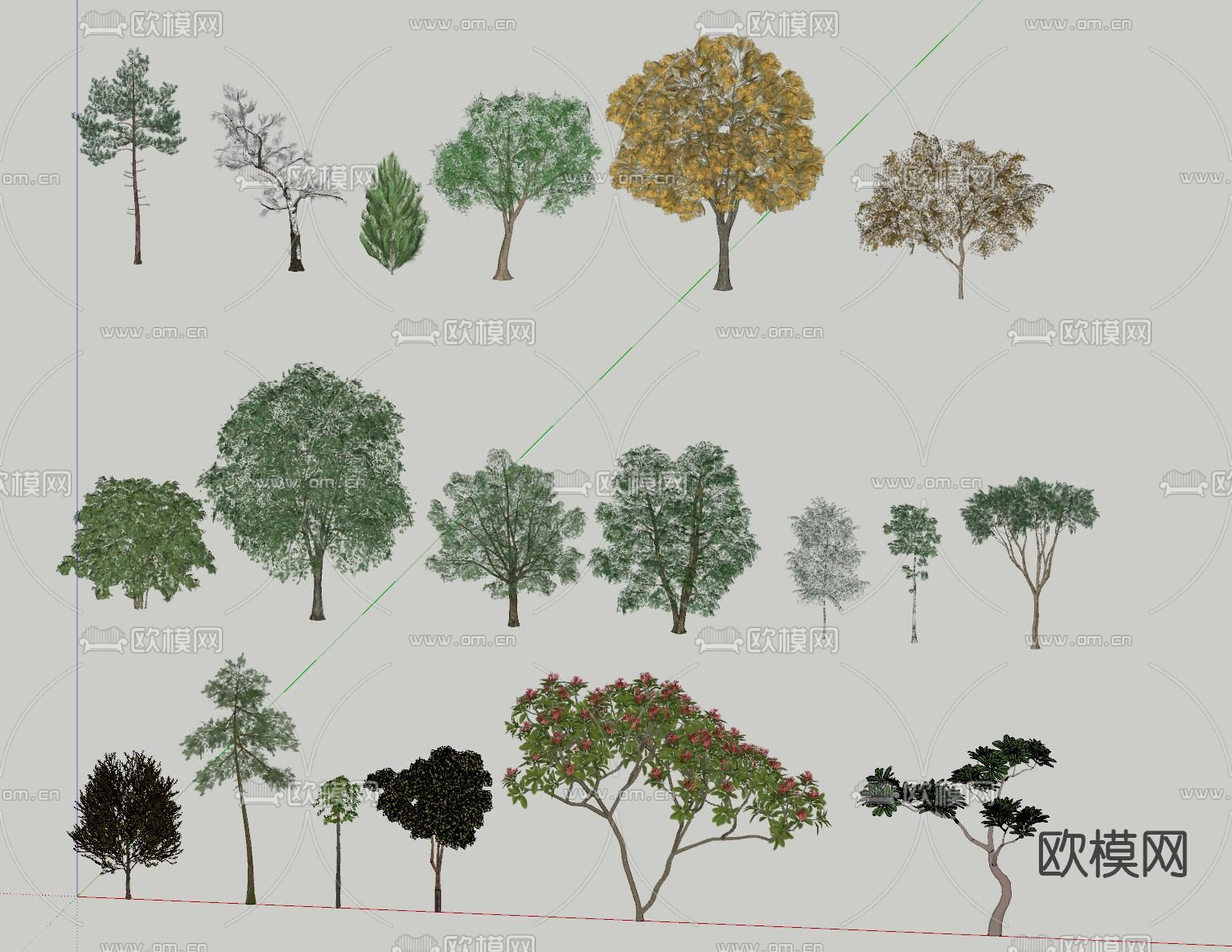 现代景观树su模型下载（渲染图2）