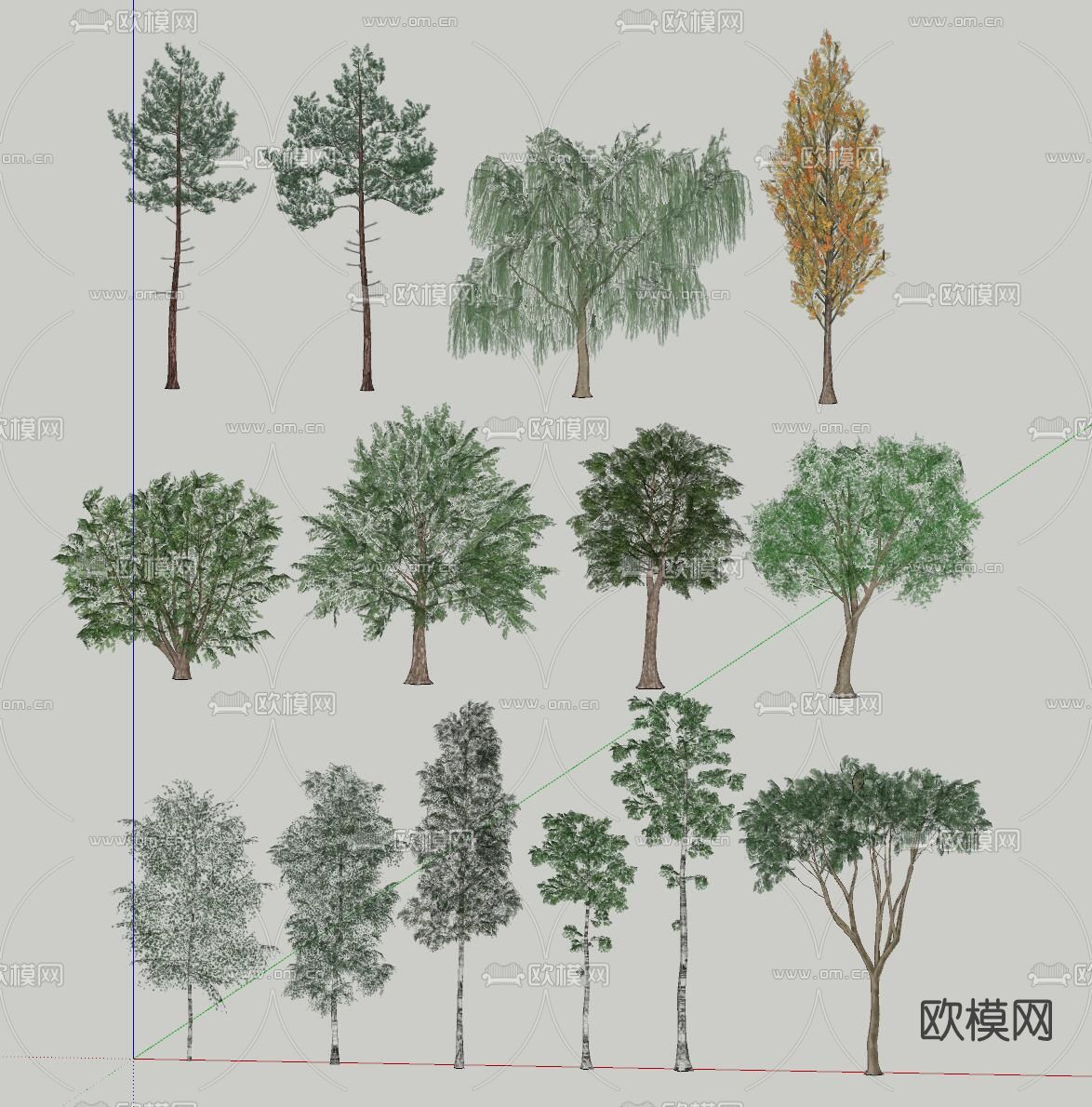 现代景观树su模型下载（渲染图2）