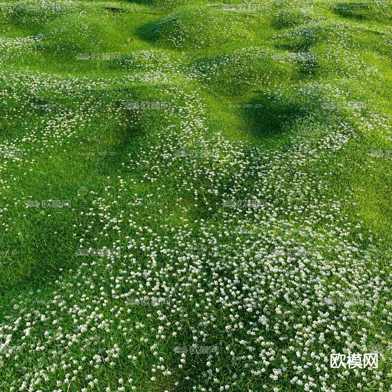 现代草坪草地3d模型下载（渲染图3）