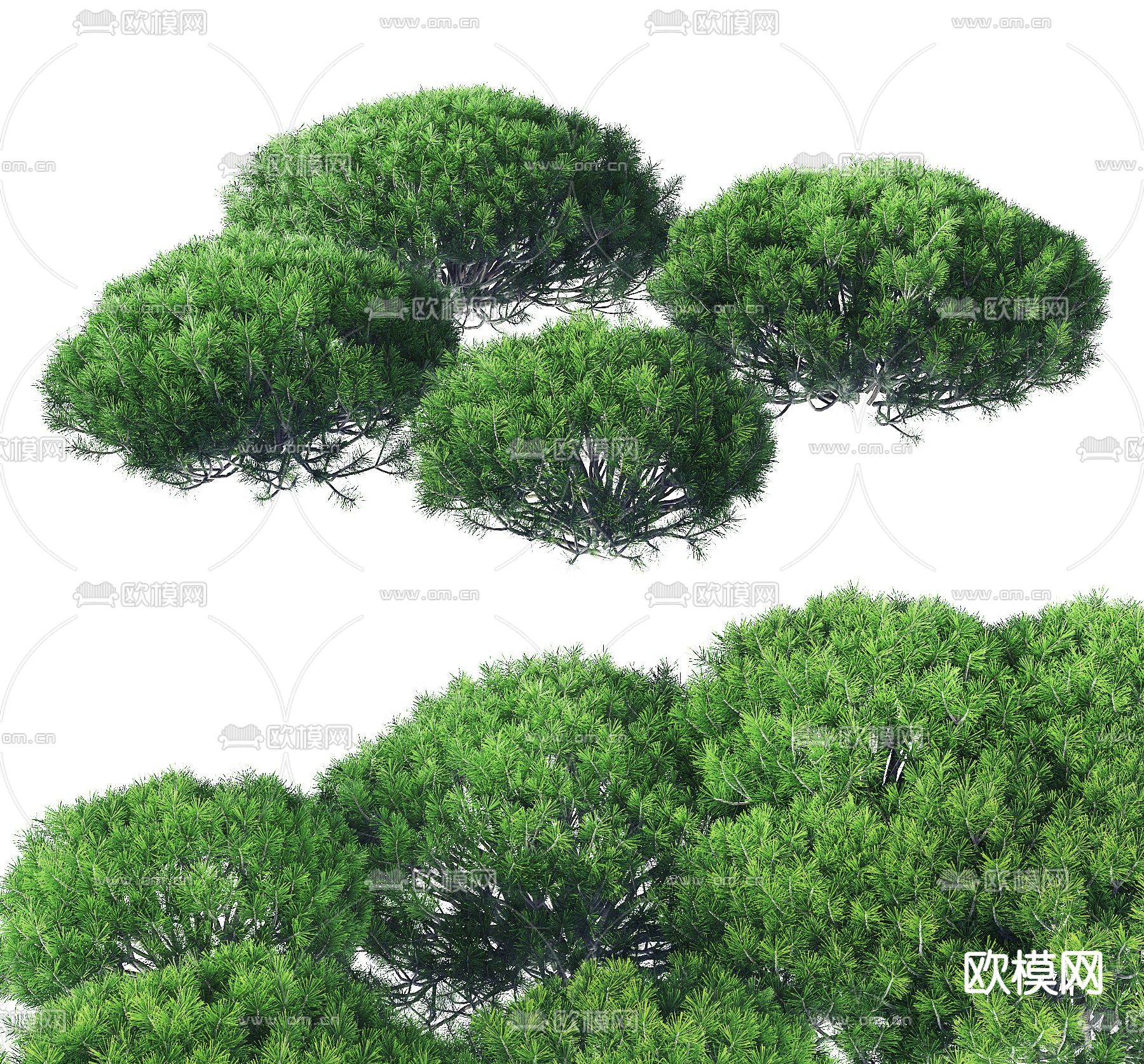 现代绿植灌木3d模型