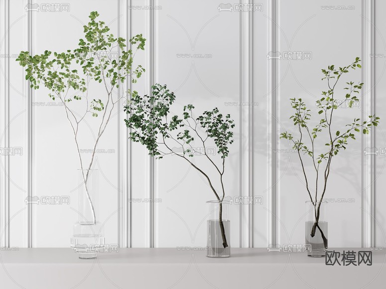 现代绿植花瓶3d模型下载(渲染图3)