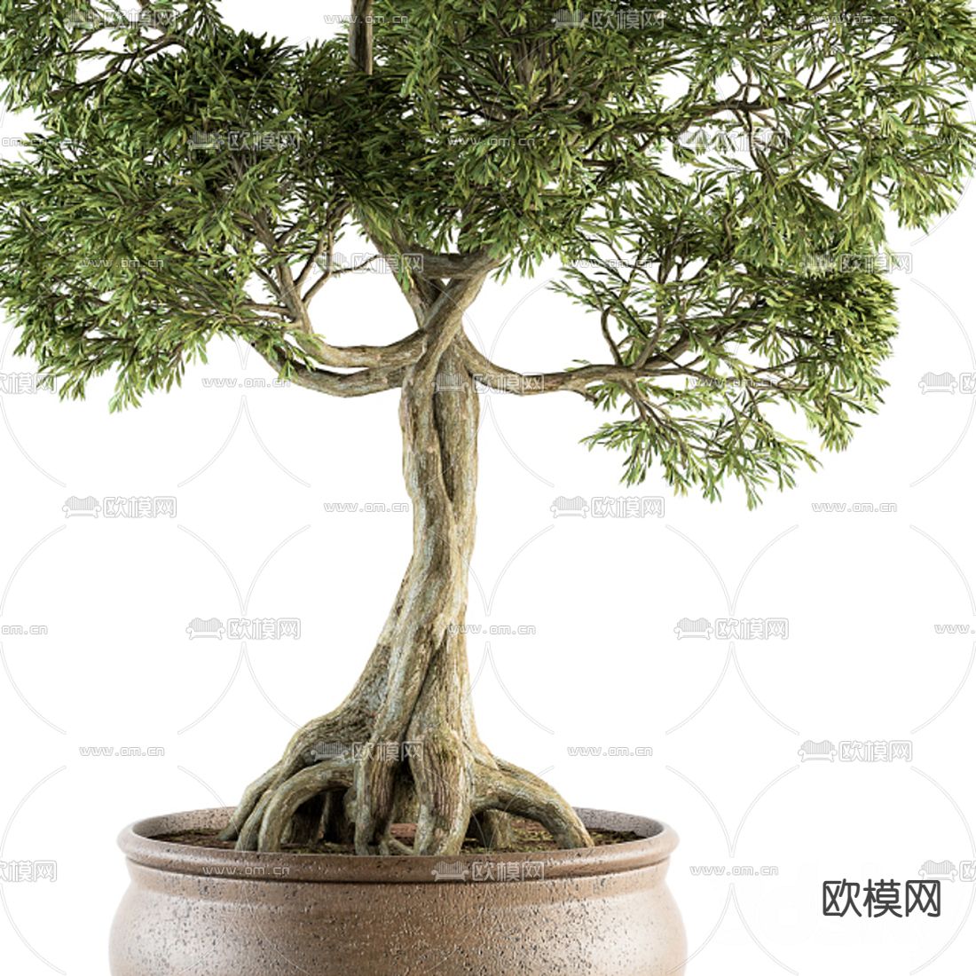新中式绿植盆栽3d模型下载（渲染图3）