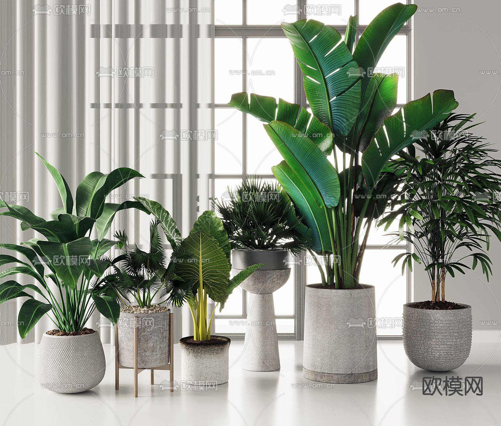 现代绿植盆栽3d模型