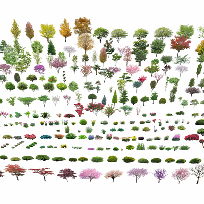  现代景观树su模型 