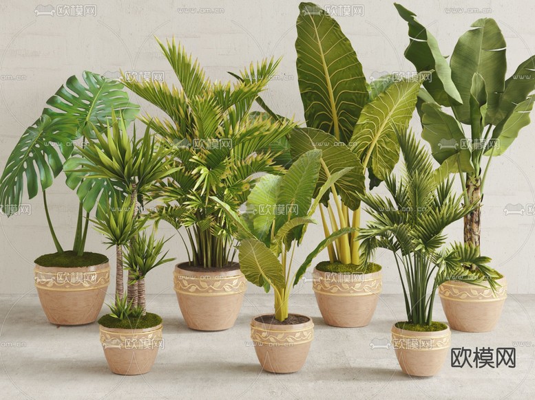 现代绿植盆栽3d模型下载