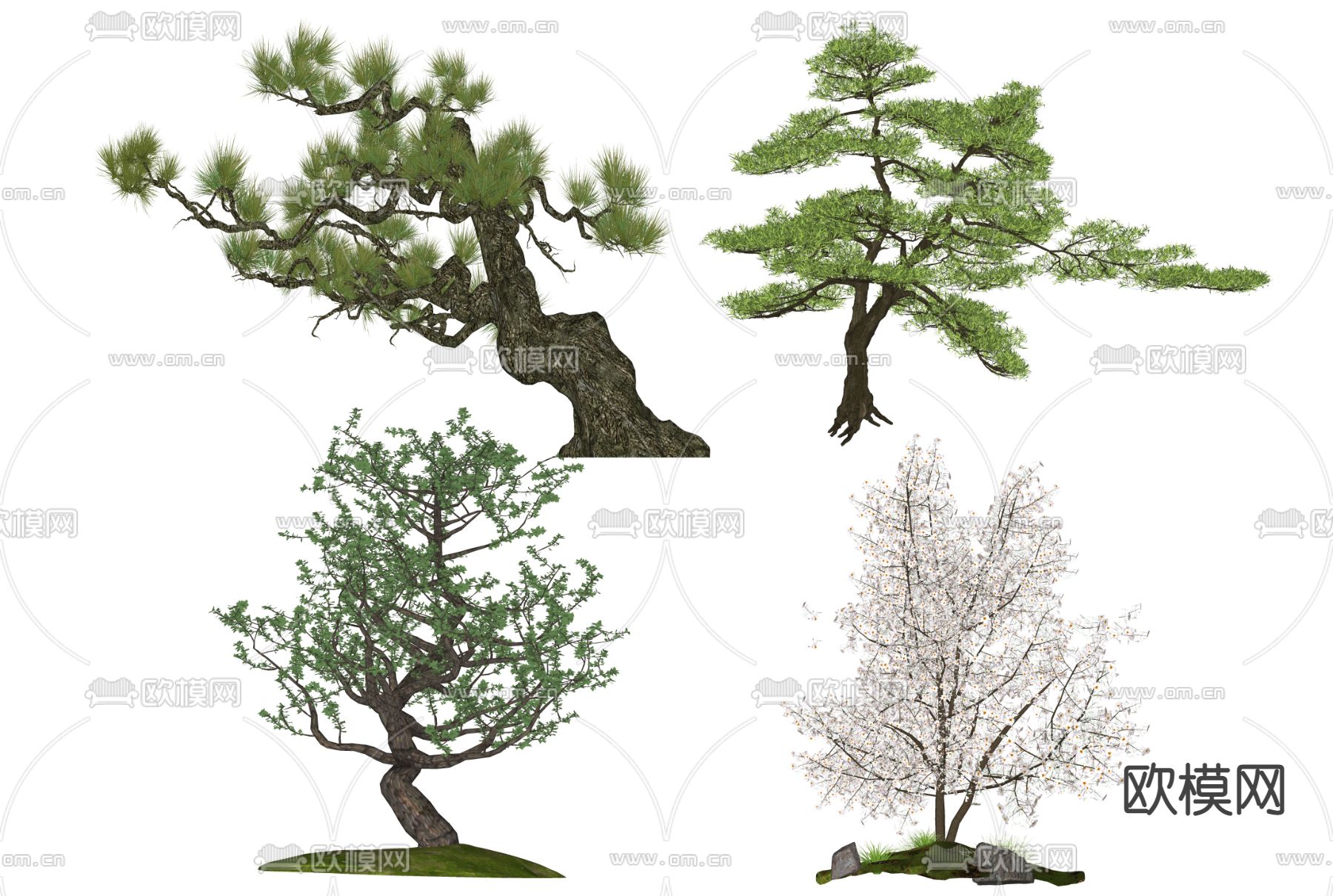 现代色叶树su模型下载