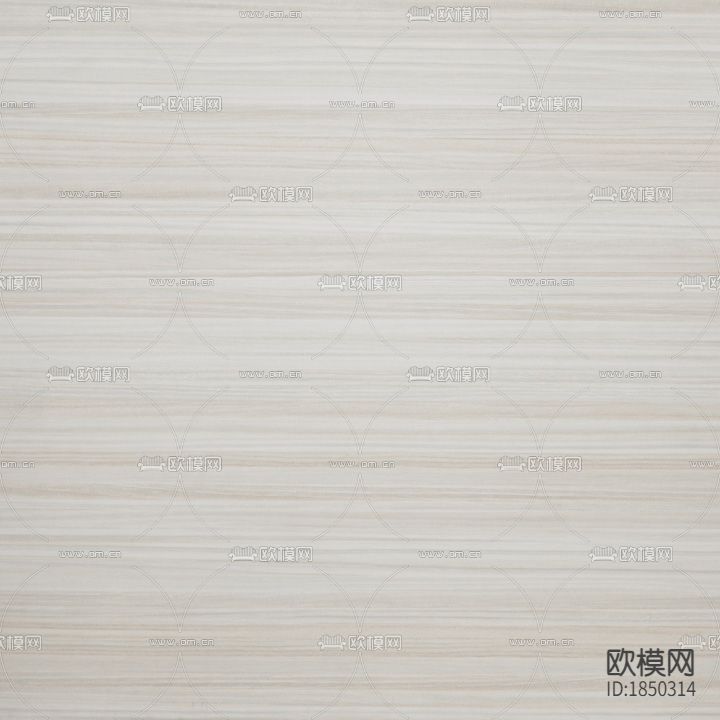 云灰横灌木(横)下载