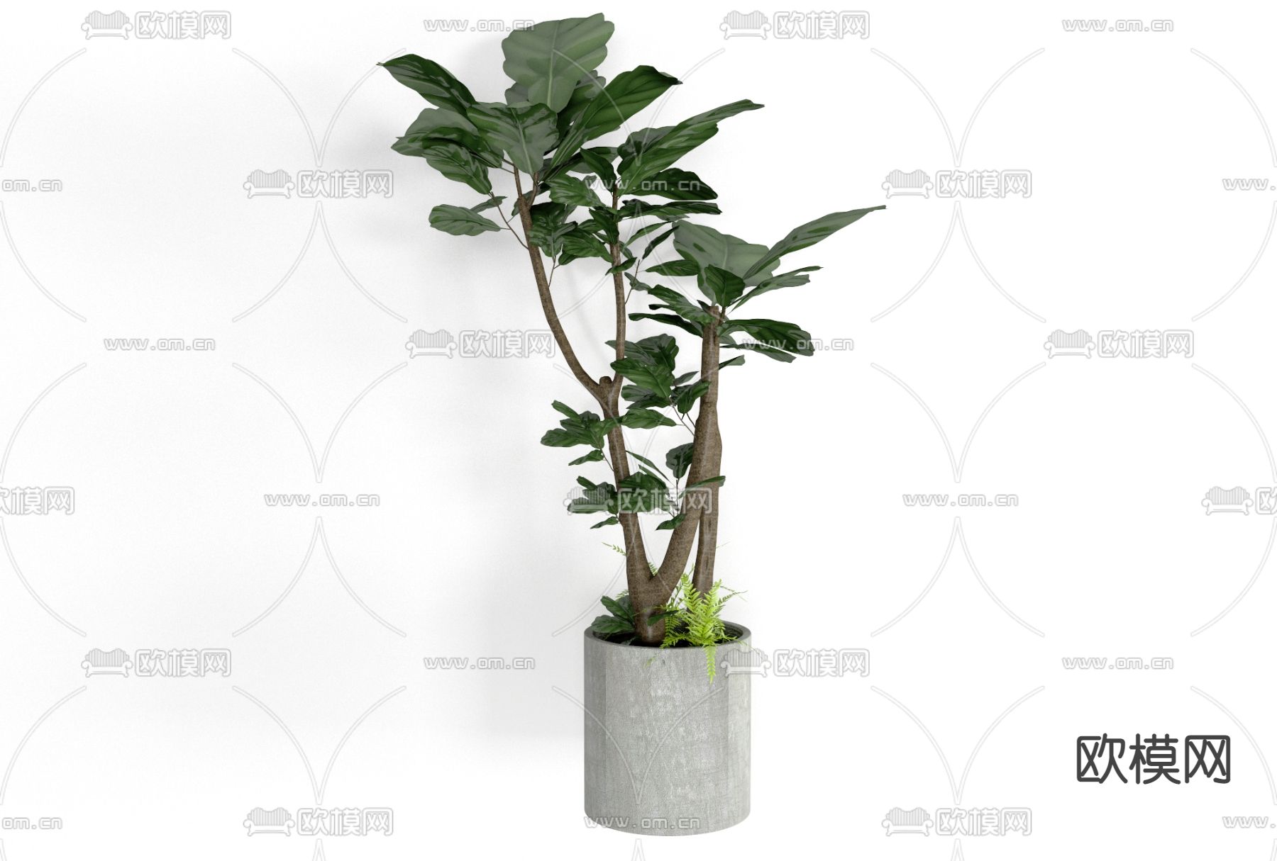 现代绿植盆栽免费3d模型下载_ID11706424_3dmax免费模型-欧模网