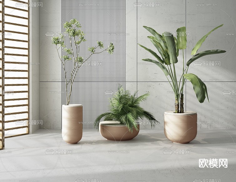 现代绿植盆栽3d模型下载