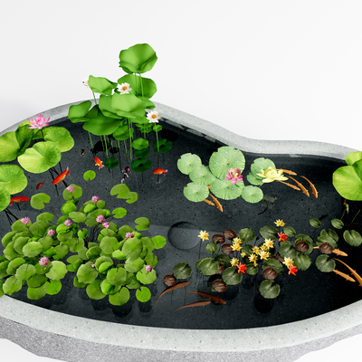  现代睡莲水生植物su模型 