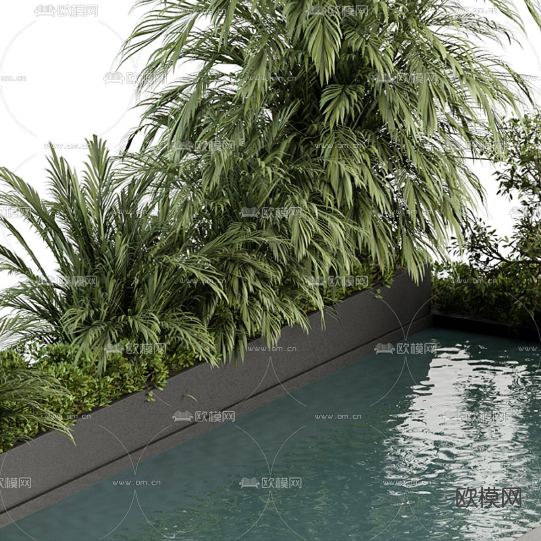 现代户外游泳池3d模型下载（渲染图2）
