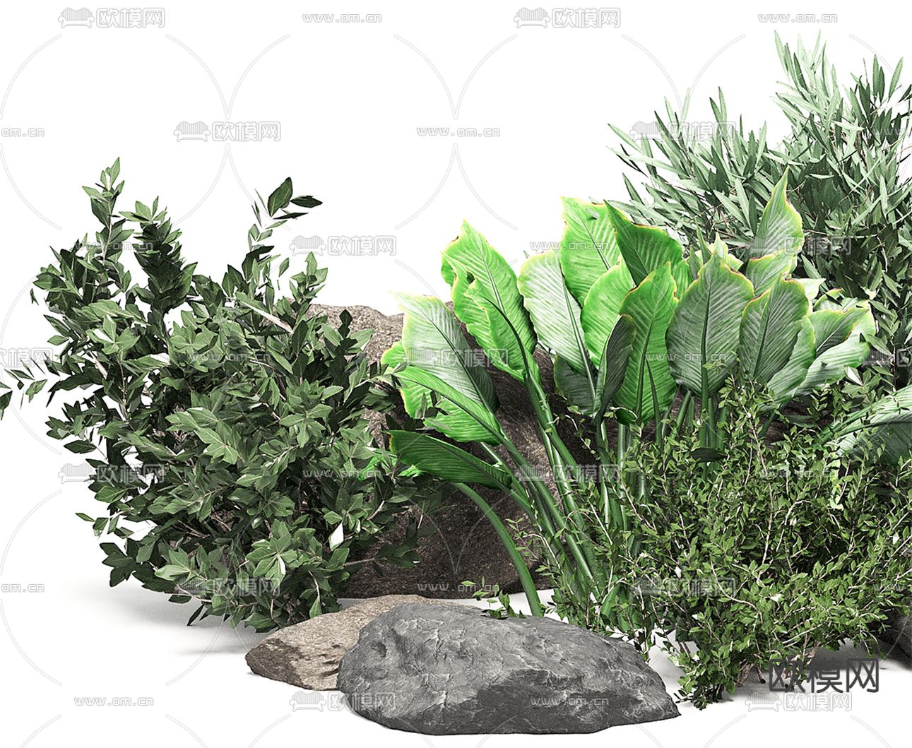 现代石头植物小品3d模型下载（渲染图2）