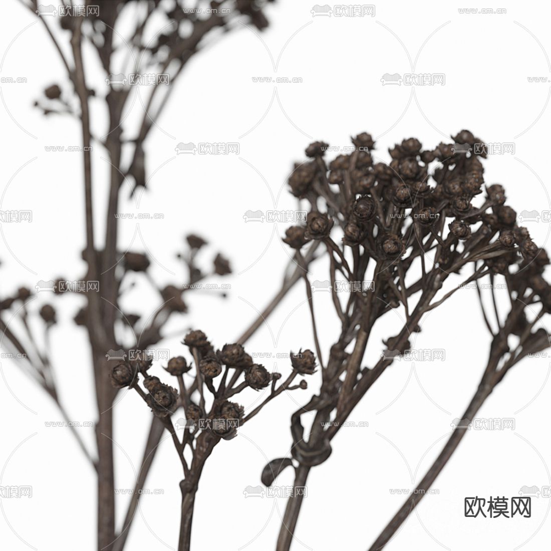 现代实木书桌椅3d模型