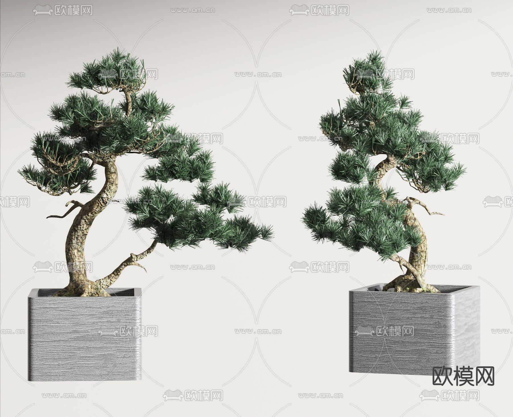 新中式松树盆栽3d模型下载_ID11717780_3dmax免费模型-欧模网