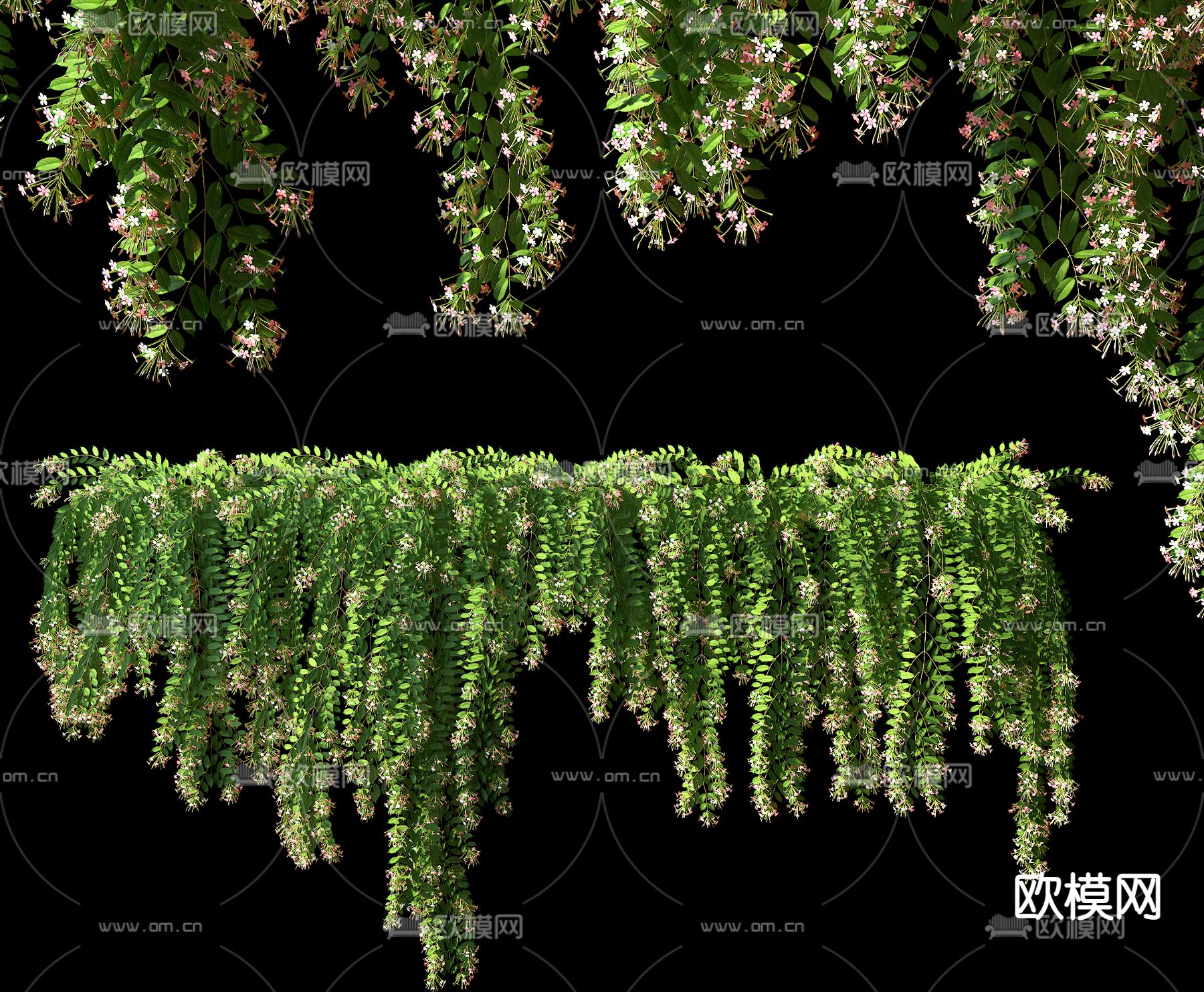 现代绿植藤蔓3d模型下载