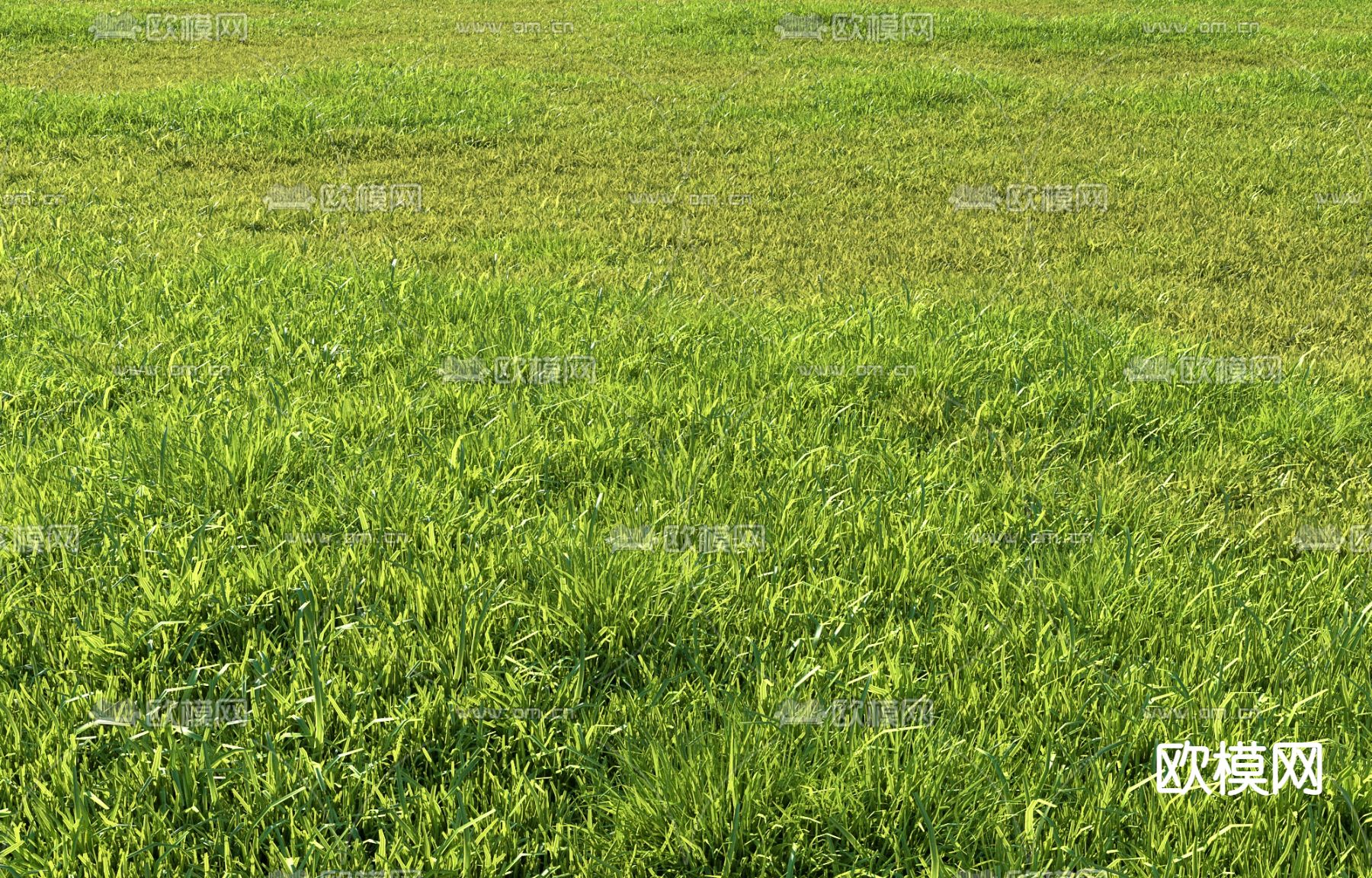 现代草地草坪3d模型