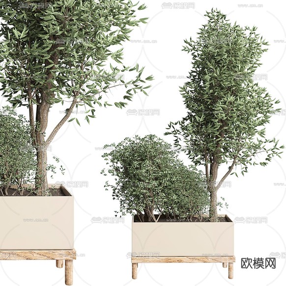 现代绿植盆栽3d模型下载