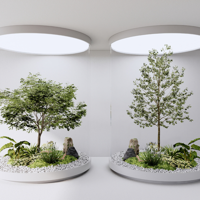  现代景观树su模型 