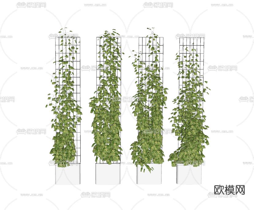 现代植物藤曼su模型