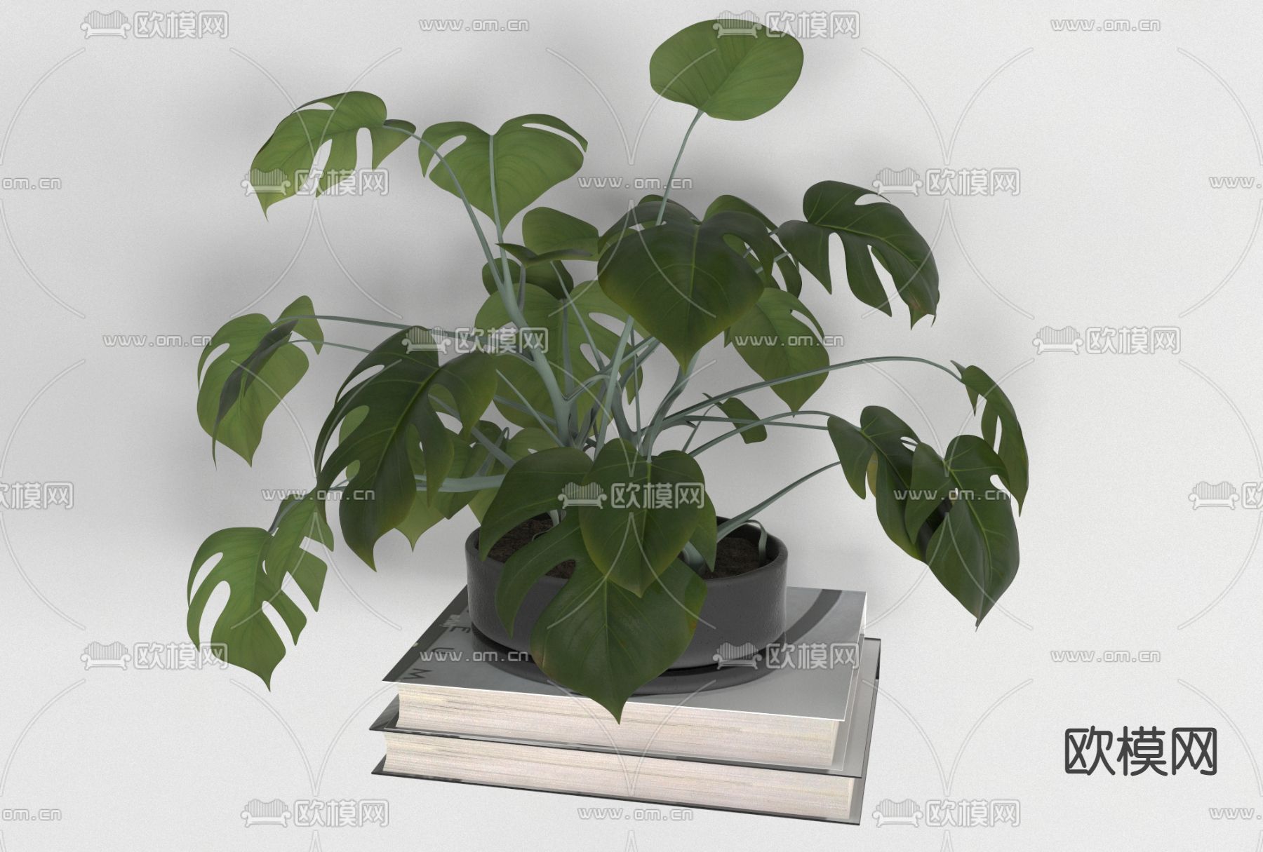 现代绿植盆栽免费3d模型下载