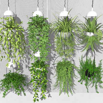  现代绿植吊篮su模型 