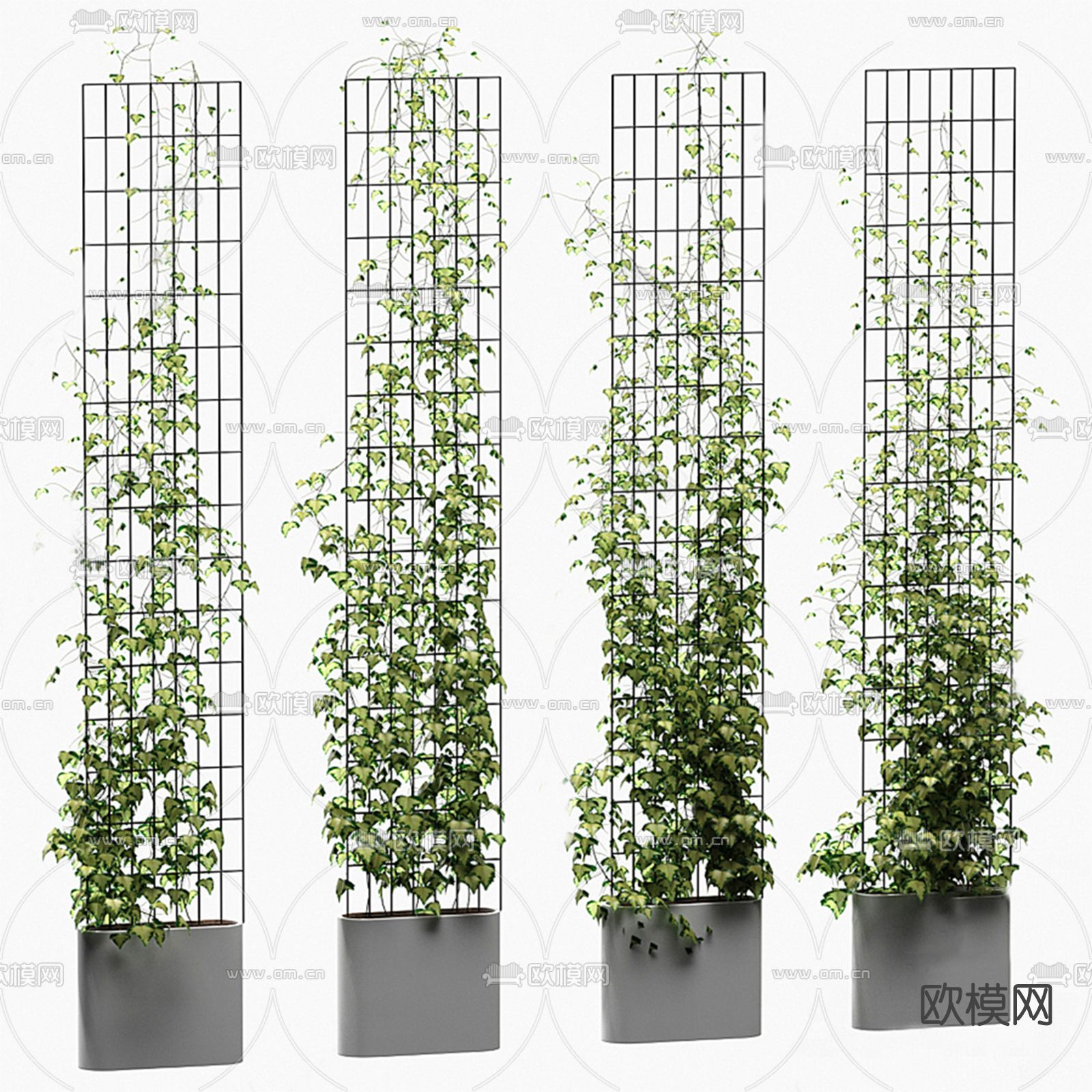 现代植物藤曼su模型