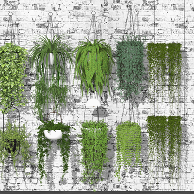  现代绿植吊篮su模型 