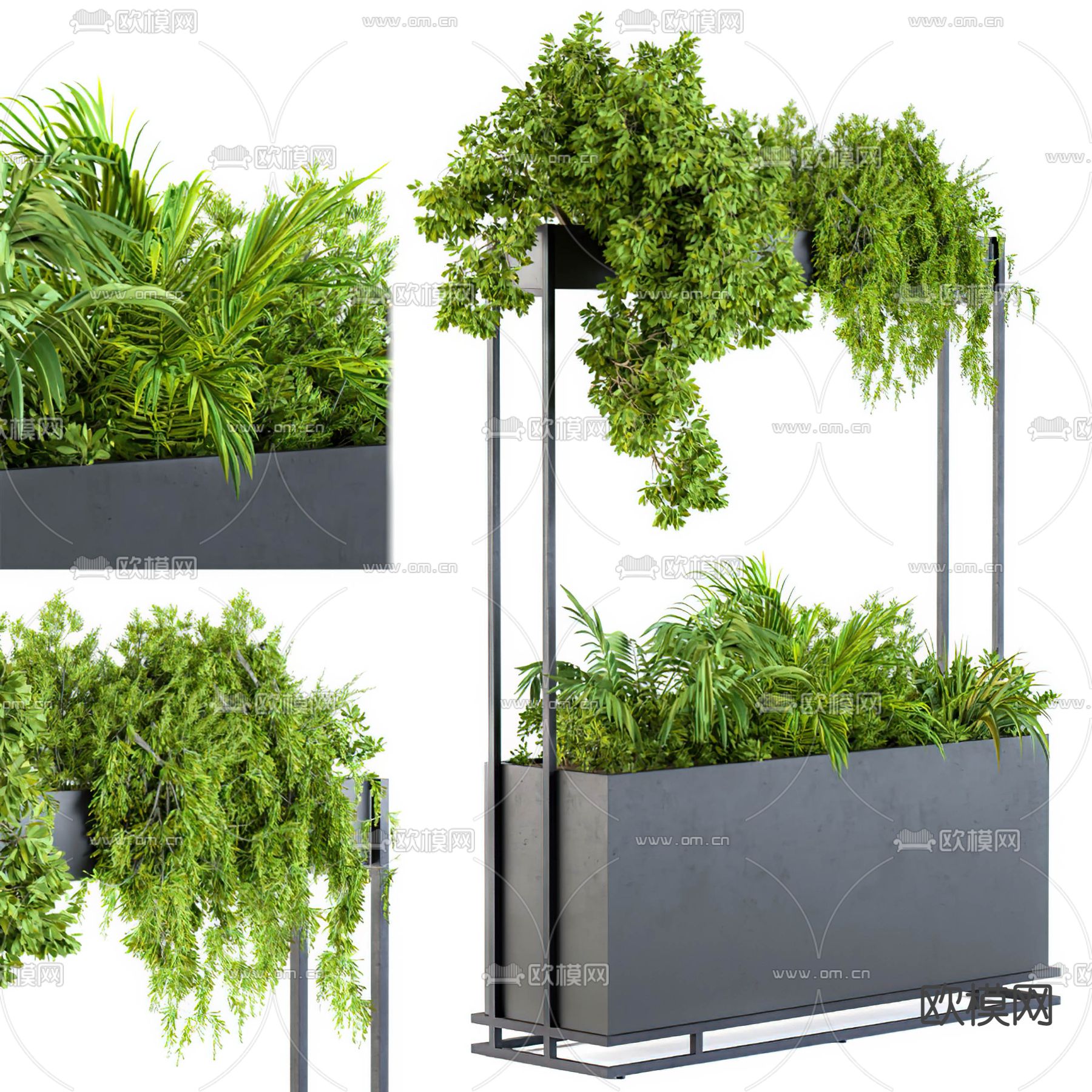 现代绿植盆栽3d模型下载